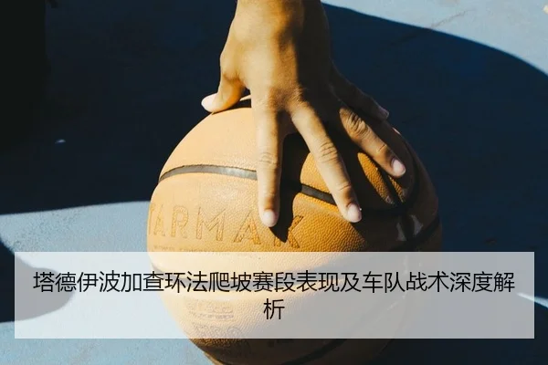 塔德伊波加查环法爬坡赛段表现及车队战术深度解析